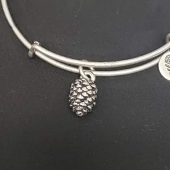 Alex and Ani NWT Silver Tone Pinecone Bracelet 647 - Picture 3 of 6